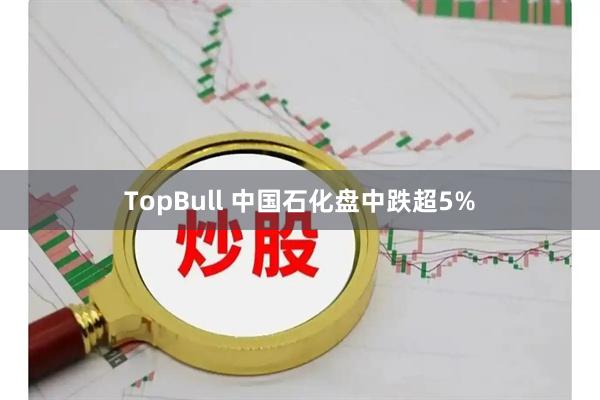 TopBull 中国石化盘中跌超5%