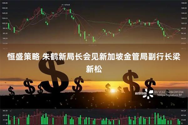 恒盛策略 朱鹤新局长会见新加坡金管局副行长梁新松